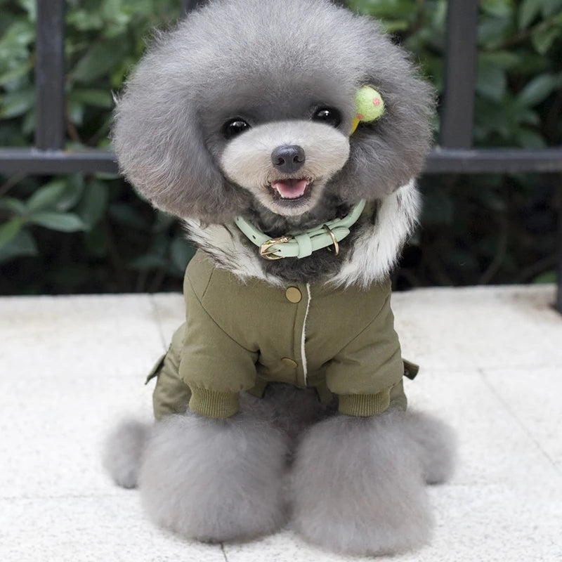 Warm Hooded Coat for Small Dogs | Stylish Winter Pet Jacket