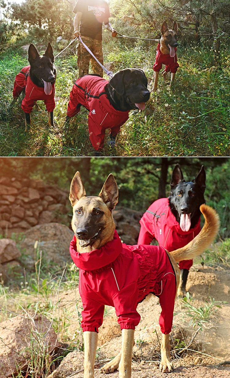 Waterproof Dog Outdoor Jacket | Winter Warm Reflective Raincoat