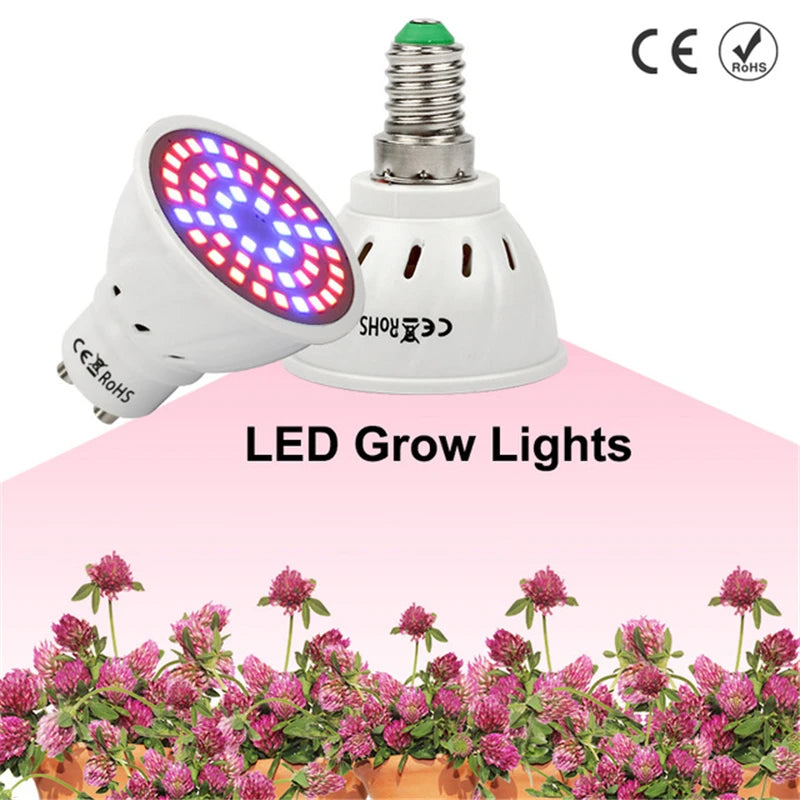 Full Spectrum LED Grow Light for Hydroponics & Greenhouses