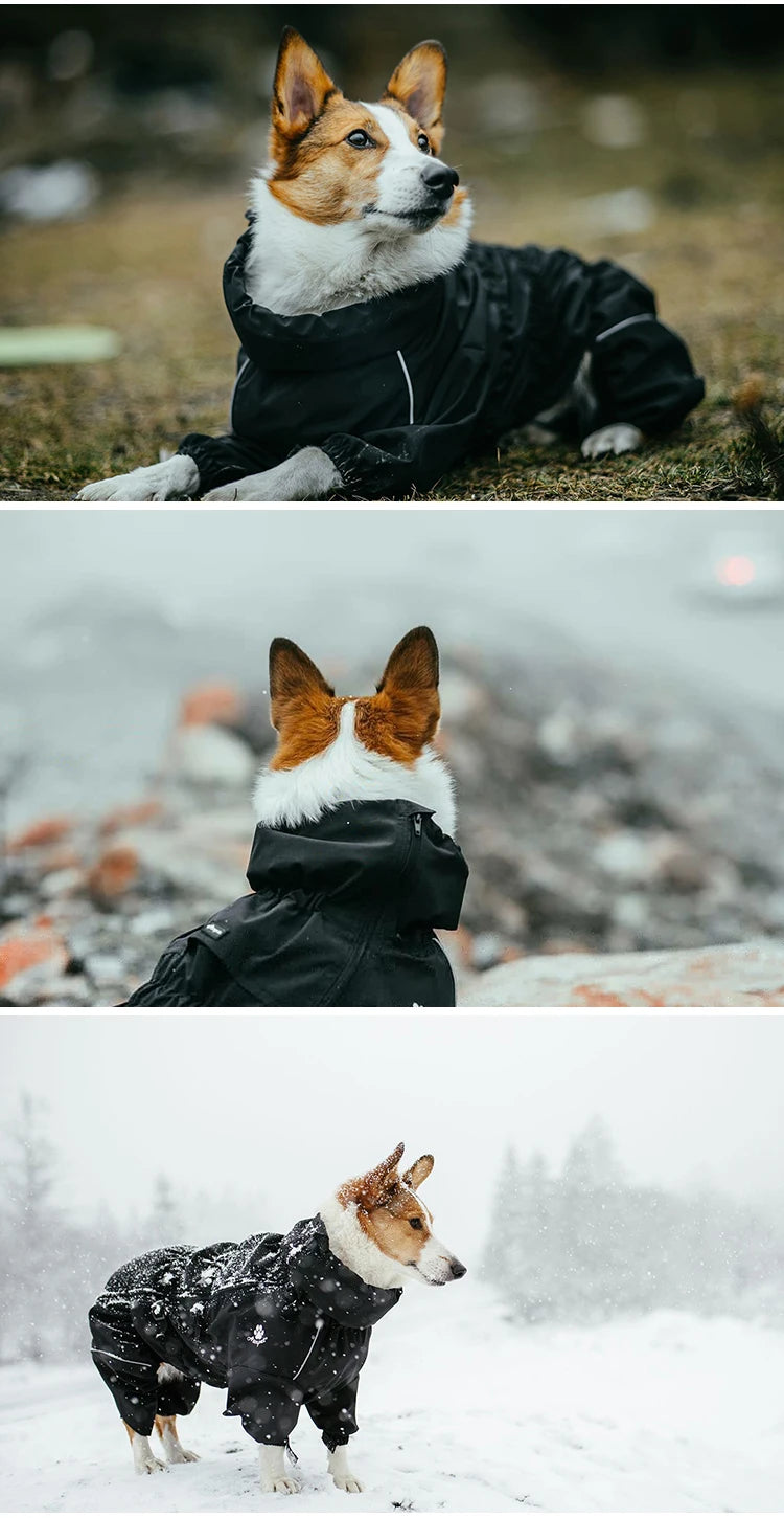Waterproof Dog Outdoor Jacket | Winter Warm Reflective Raincoat