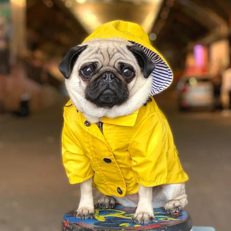 Stylish Waterproof Pet Rain Coat for Medium to Large Dogs