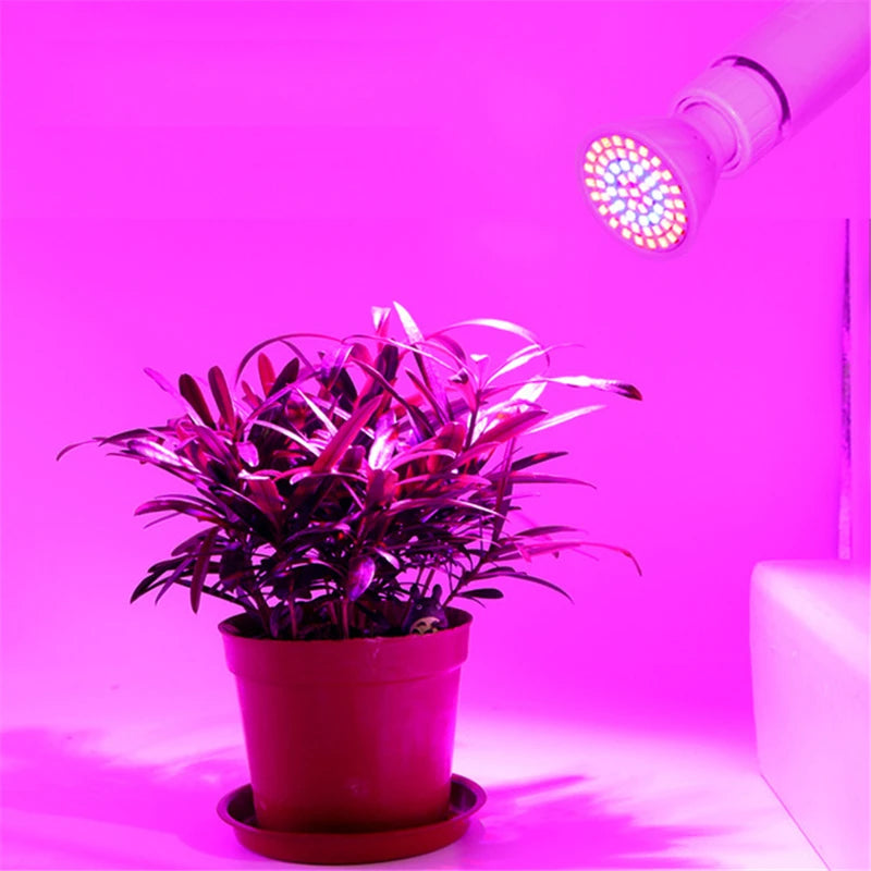 Full Spectrum LED Grow Light for Hydroponics & Greenhouses