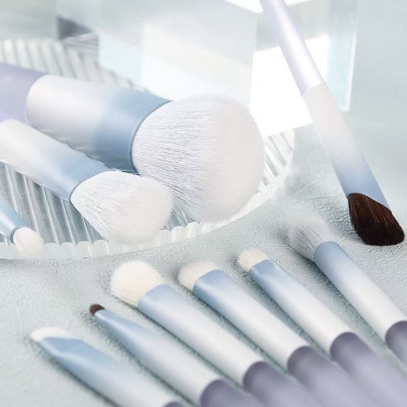 10-Piece Makeup Brush Set | Blush, Powder & Eyeshadow Brushes