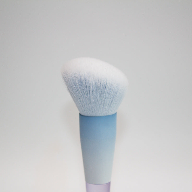 10-Piece Makeup Brush Set | Blush, Powder & Eyeshadow Brushes