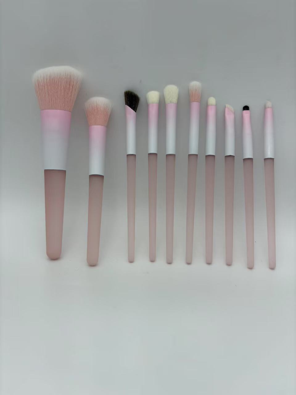 10-Piece Makeup Brush Set | Blush, Powder & Eyeshadow Brushes