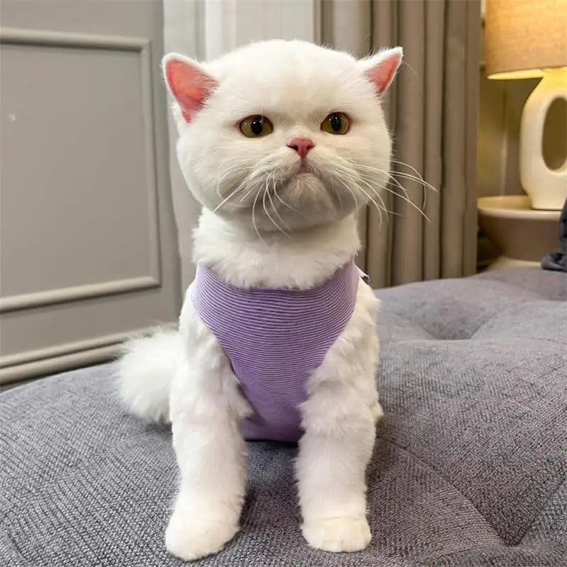Adjustable Cat Recovery Suit | Soft Breathable Anti-Lick Bodysuit