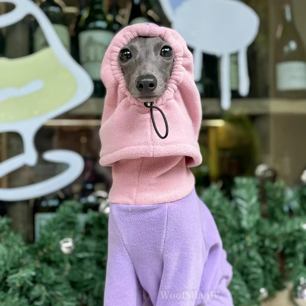 Ropa de invierno para perros | Atuendos suaves y elegantes para razas pequeñas
