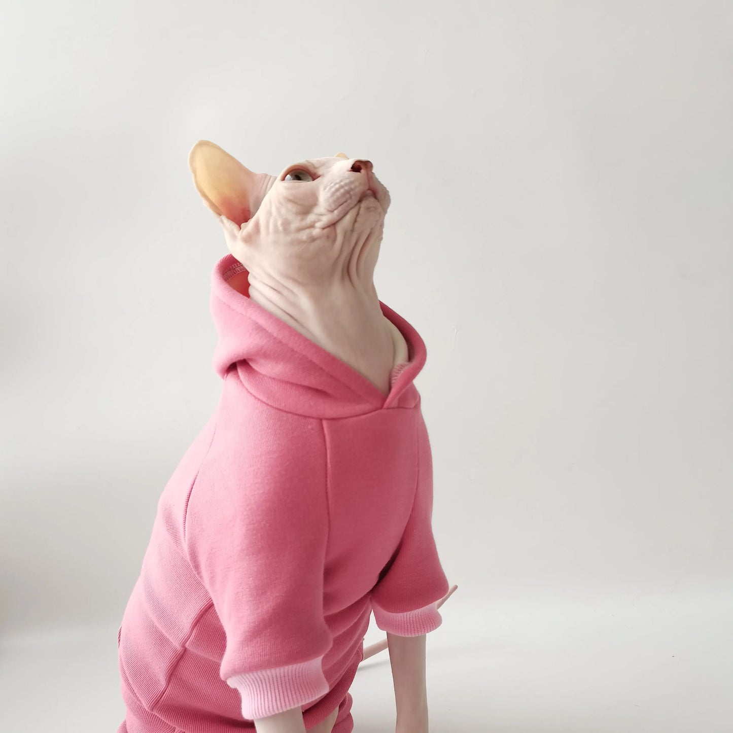Soft Fleece-Lined Coat for Cats | Cozy Autumn Winter Hoodie