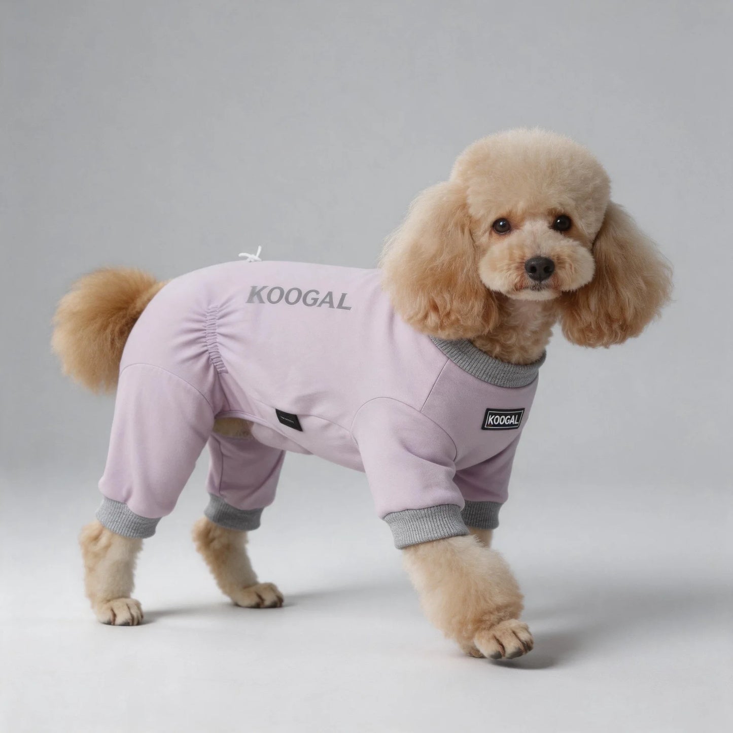 Lightweight Summer Dog Pyjamas | Comfortable Dog Onesie for All Sizes