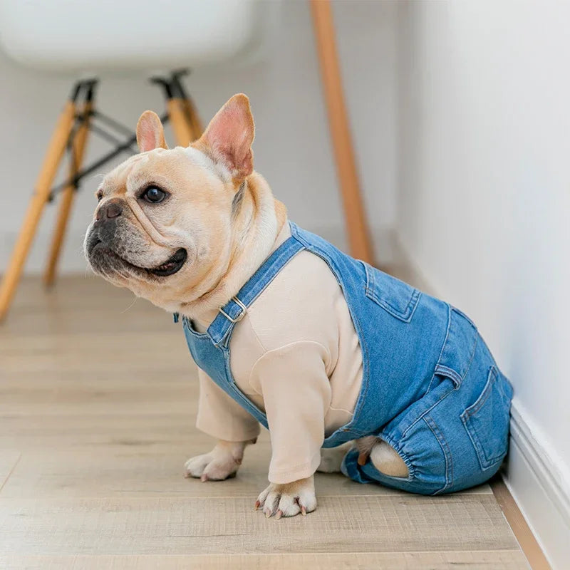 Elegante abrigo vaquero para perros de razas pequeñas y medianas | Ropa de abrigo para mascotas