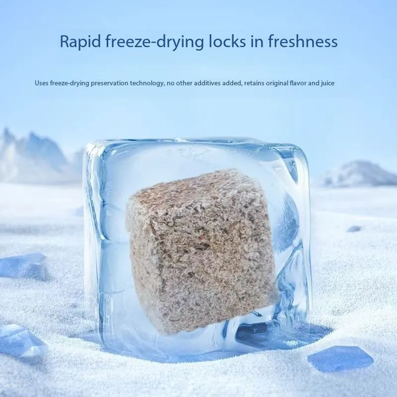 High Protein Freeze Dried Bloodworms for Fish & Tortoise Feed