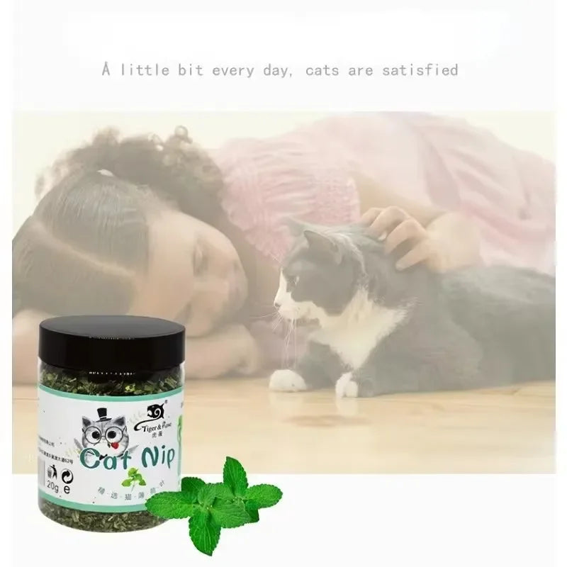 Organic Natural Catnip Cattle Grass Mint Taste Cat Toy