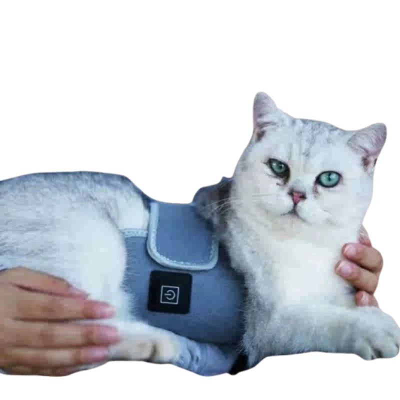 Handheld Laser Light Therapy Device for Pain Relief in Pets & Humans