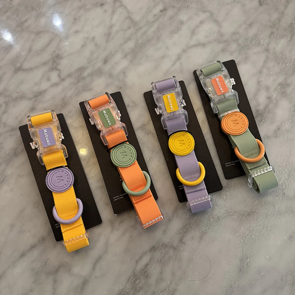 Trendy Transparent Buckle Pet Collar | Perfect for Small Dogs & Cats