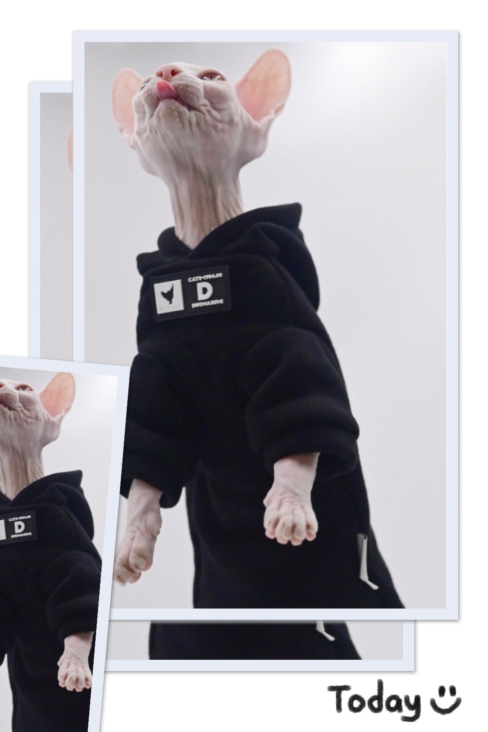 Stylish Cat Hoodie for Hairless Breeds | Cozy Spring/Fall Fashion