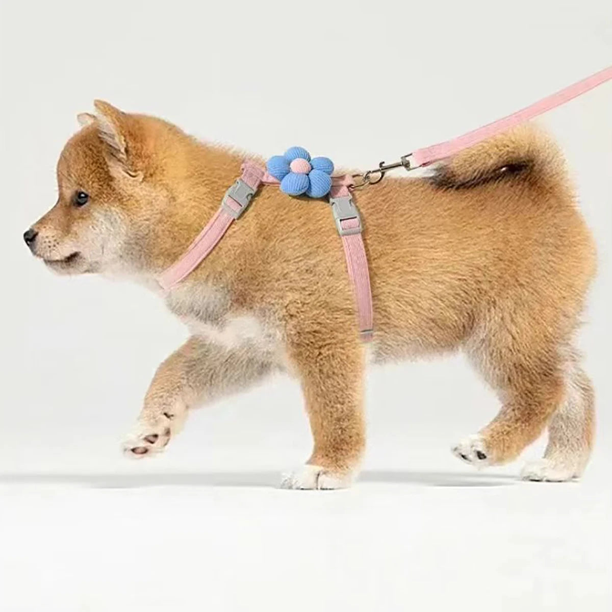 Adjustable Cat Harness and Leash Set | Perfect for Small Dogs & Cats