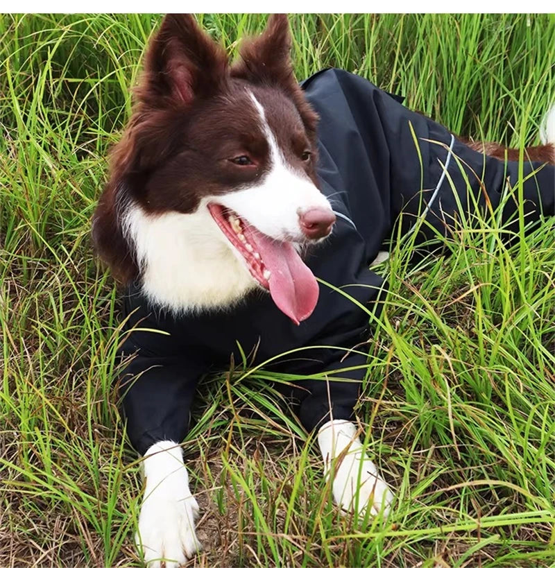 Waterproof Reflective Dog Raincoat | Adjustable Pet Jacket