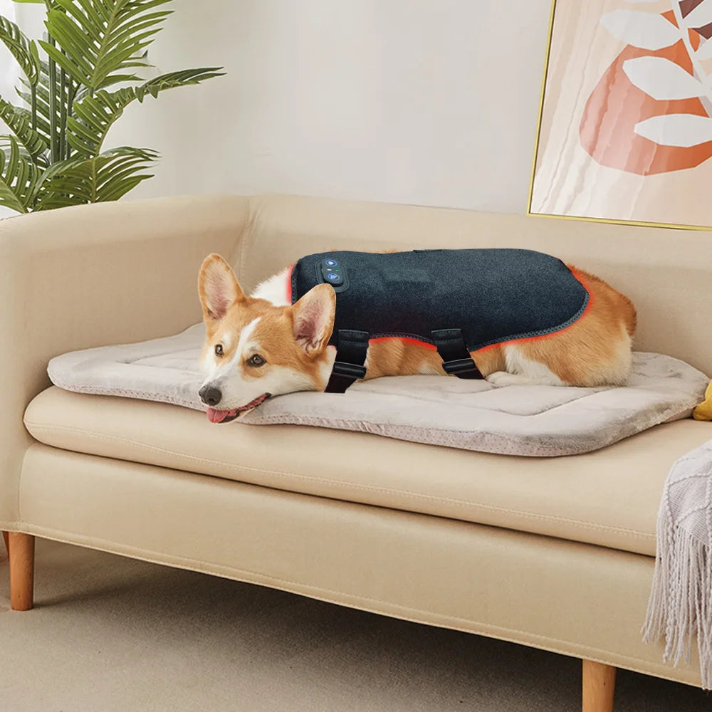 Red Light Therapy Belt for Pets | Pain Relief for Dogs & Cats