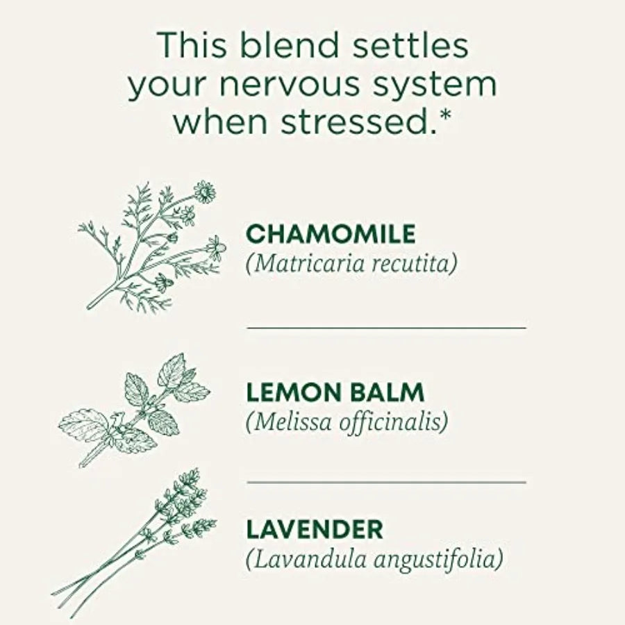 Organic Chamomile and Lavender Herbal Tea for Evening Relaxation