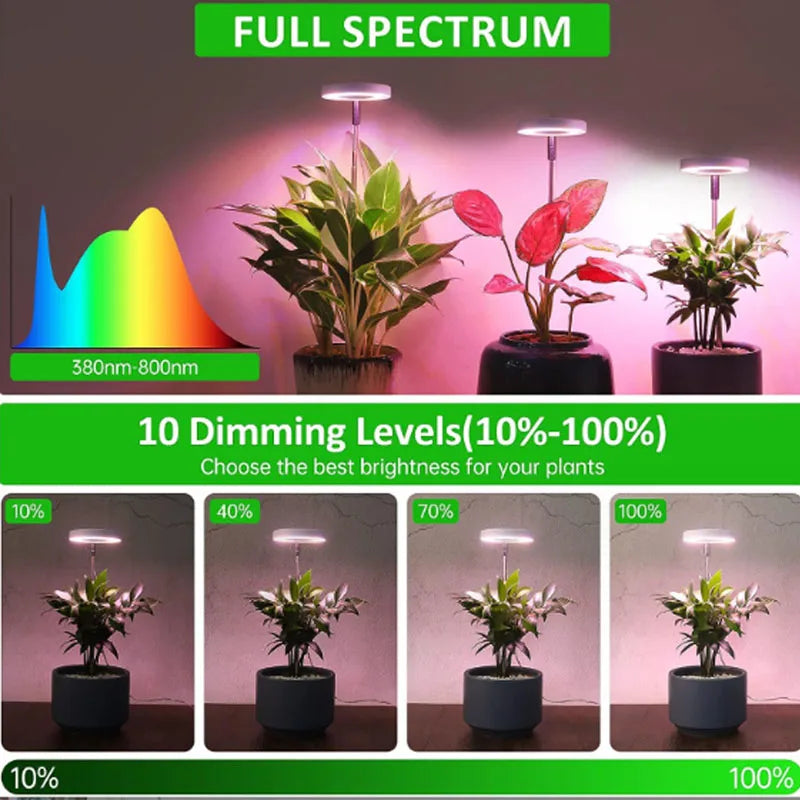 Full Spectrum LED Grow Light for Indoor Plants with Timer