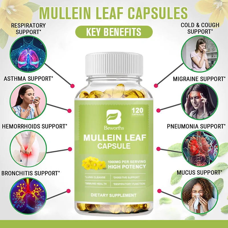 BEWORTHS Natural Mullein Leaf Capsules Support Immune and Digestive Health Lung Cleansing Relieve Asthma,Respiratory & Cough