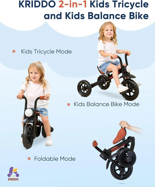2-in-1 Kids Balance Bike & Tricycle | Fun Learning Adventure