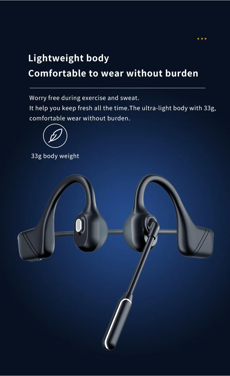Professional Open Stereo Headphones with Noise Canceling Microphone