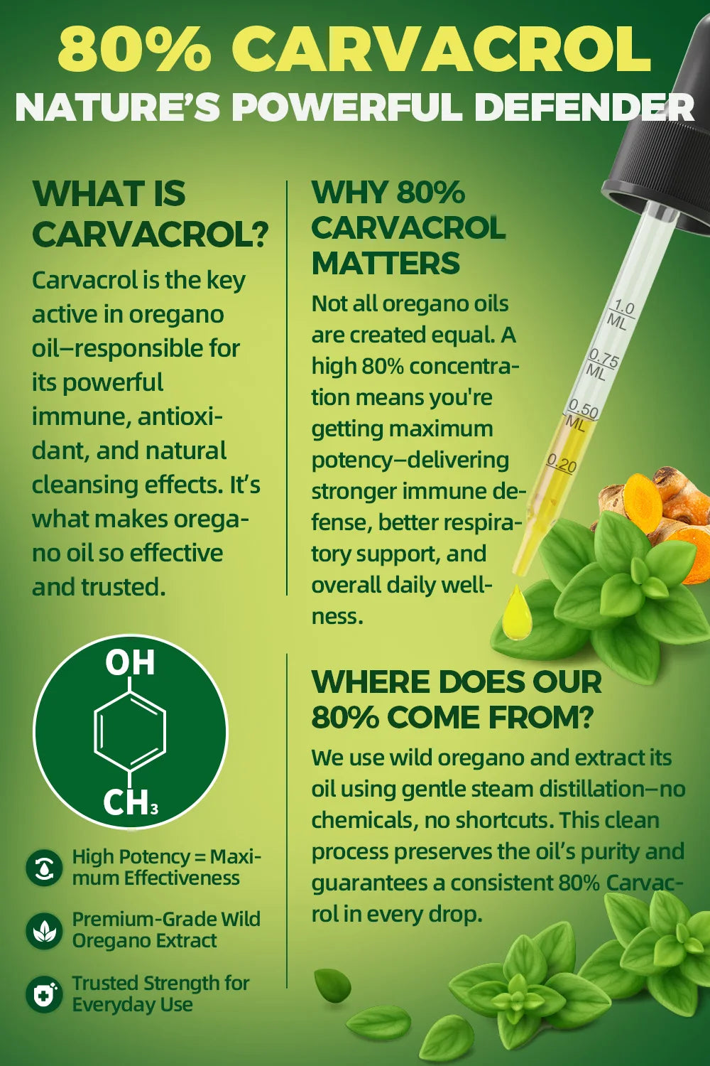4-in-1 Oregano Oil Drops with Turmeric & Vitamin E | Immune Support