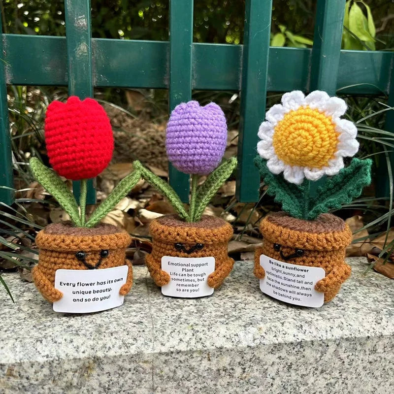 Beautiful Hand-Woven Crochet Flower Pots for Home Décor