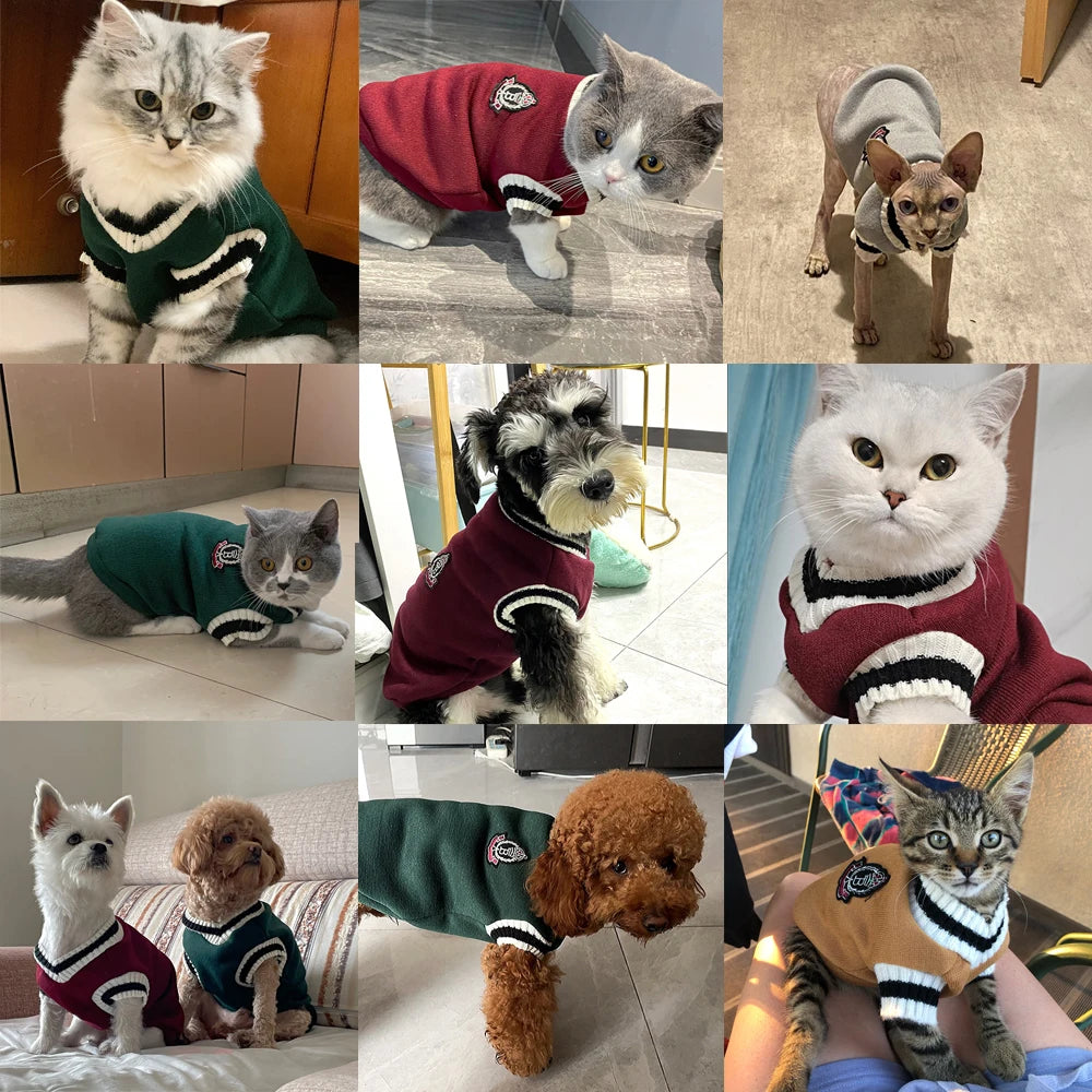 Cozy Cat Clothes Winter Jacket for Small Dogs & Kittens