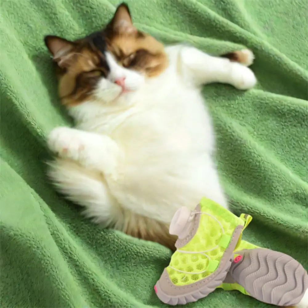 Breathable Dog Mesh Shoes | Anti-Slip Summer Footwear Set