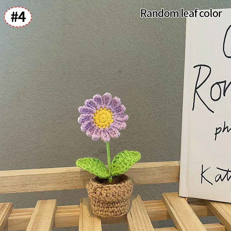 Beautiful Hand-Woven Crochet Flower Pots for Home Décor