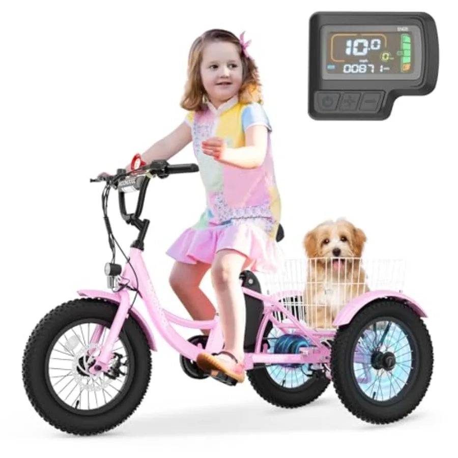 Electric Tricycle for Youth | 250W 3-Wheel Electric Bike