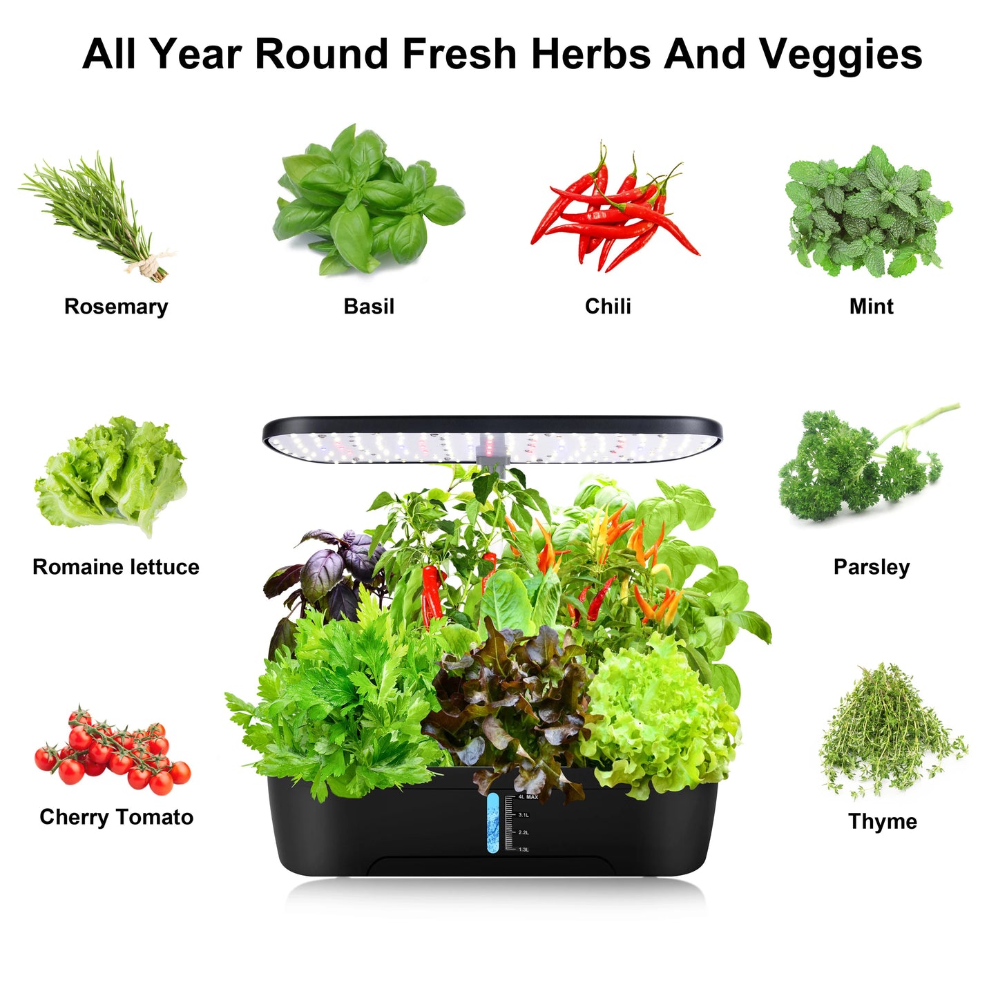 Indoor Hydroponics Growing System | 12 Pods Herb Garden Kit