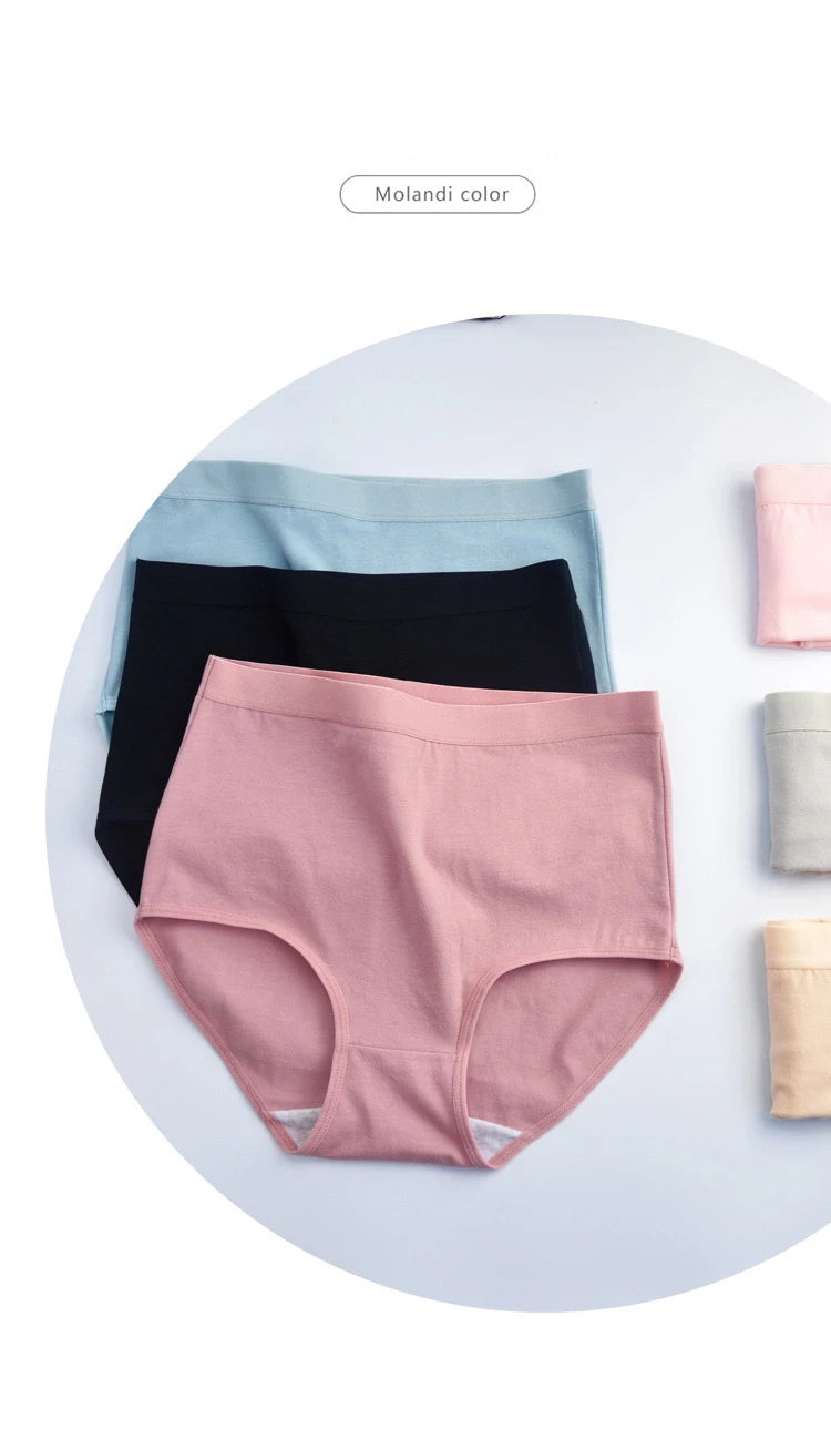 Plus Size High Waist Cotton Briefs for Women | Breathable Comfort