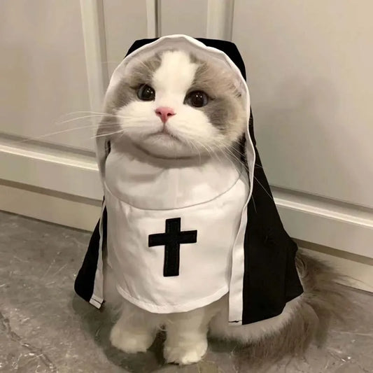 Disfraz Divertido de Gato Monja para Perros Pequeños | Lindo Atuendo para Mascotas
