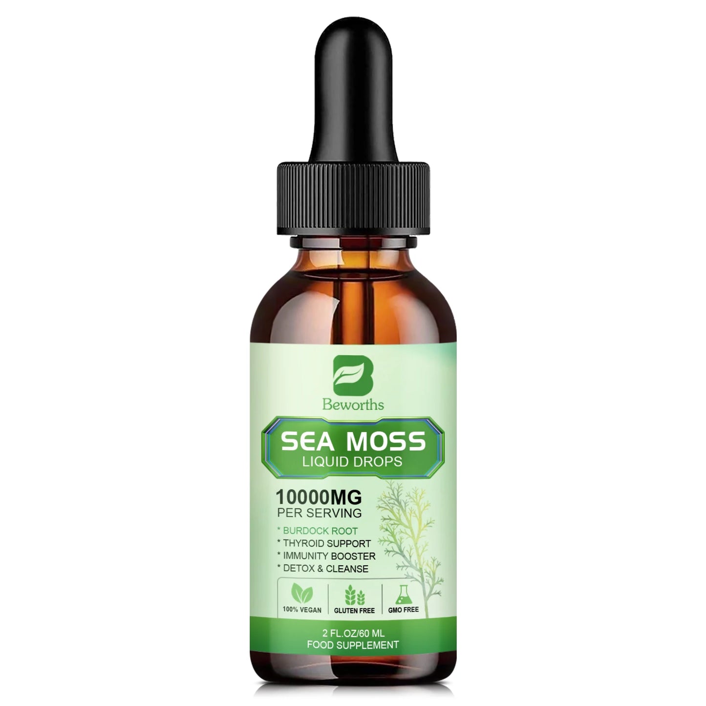 Sea Moss Liquid Drops | Immune Support & Antioxidant Supplement