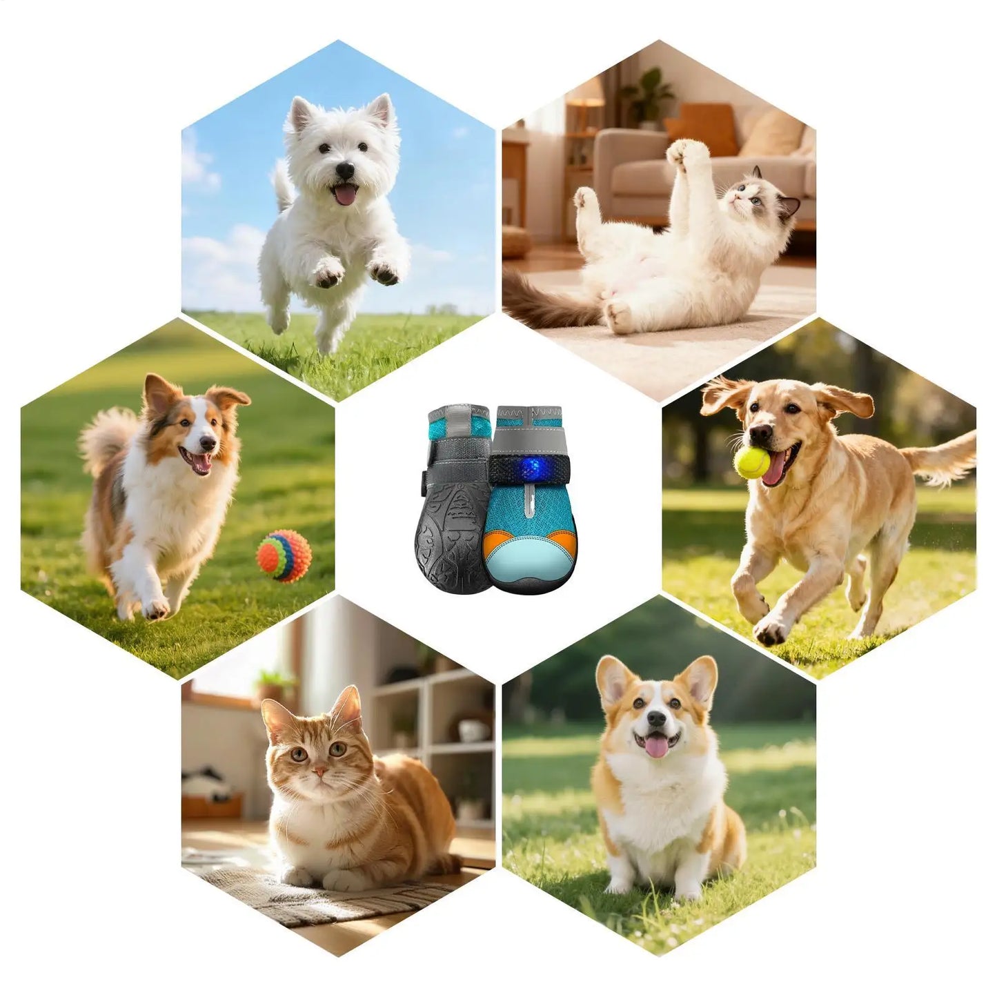 Light Up Dog Shoes | Breathable Glowing Pet Boots for Summer Fun