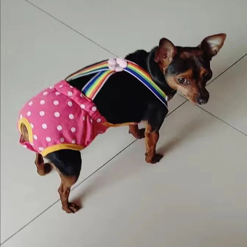 Denim Dog Shorts for Small & Medium Dogs | Stylish Pet Underwear