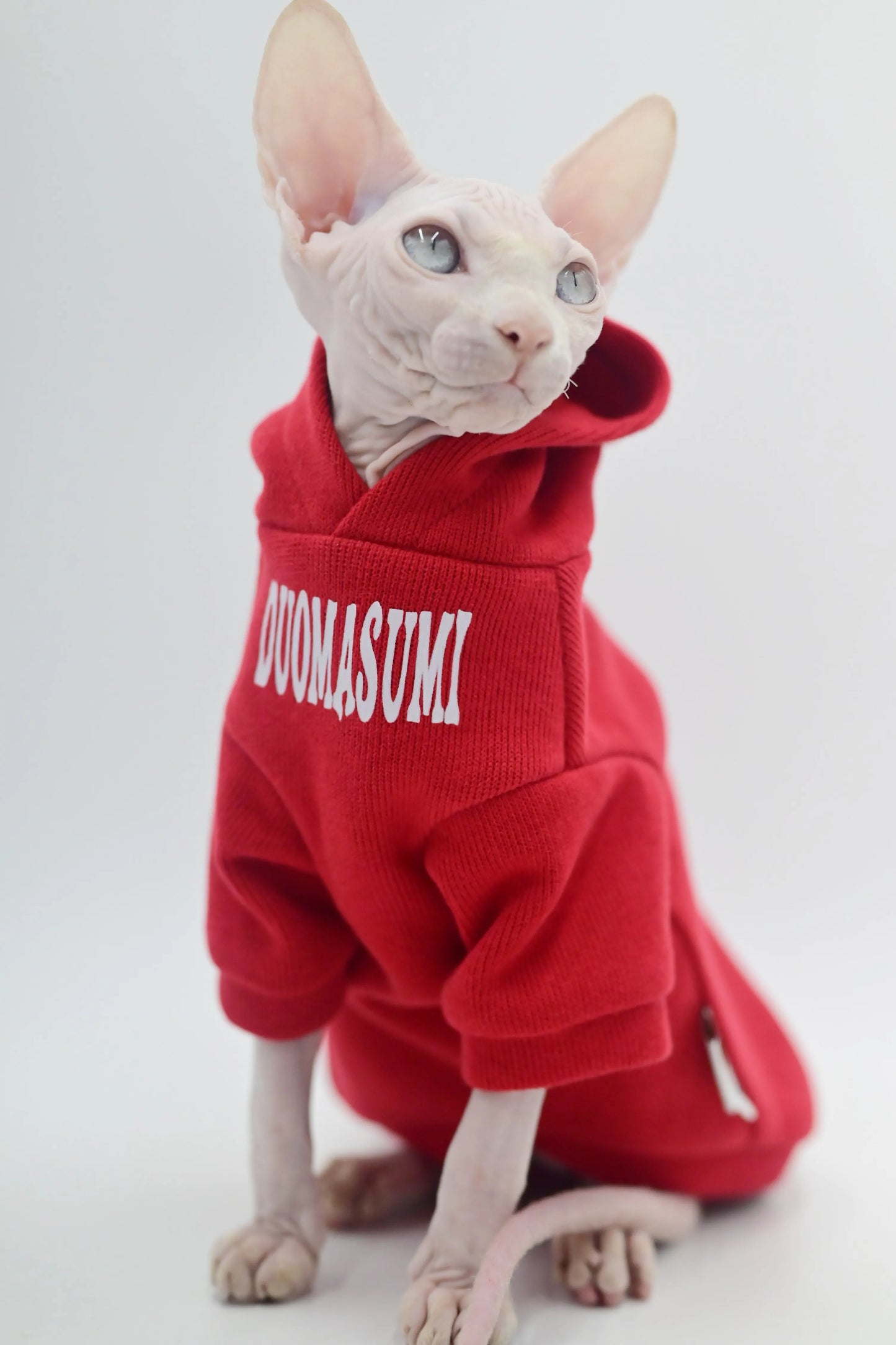 Ropa elegante para gatos sin pelo | Colección Primavera/Otoño
