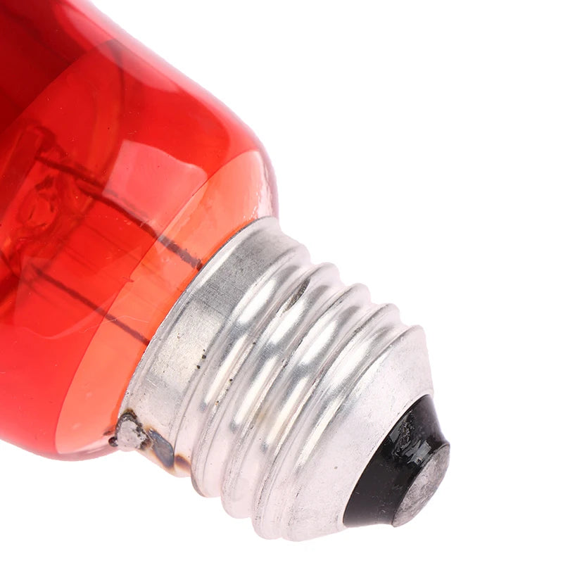 Infrared Physiotherapy Bulb for Pain Relief & Muscle Relaxation