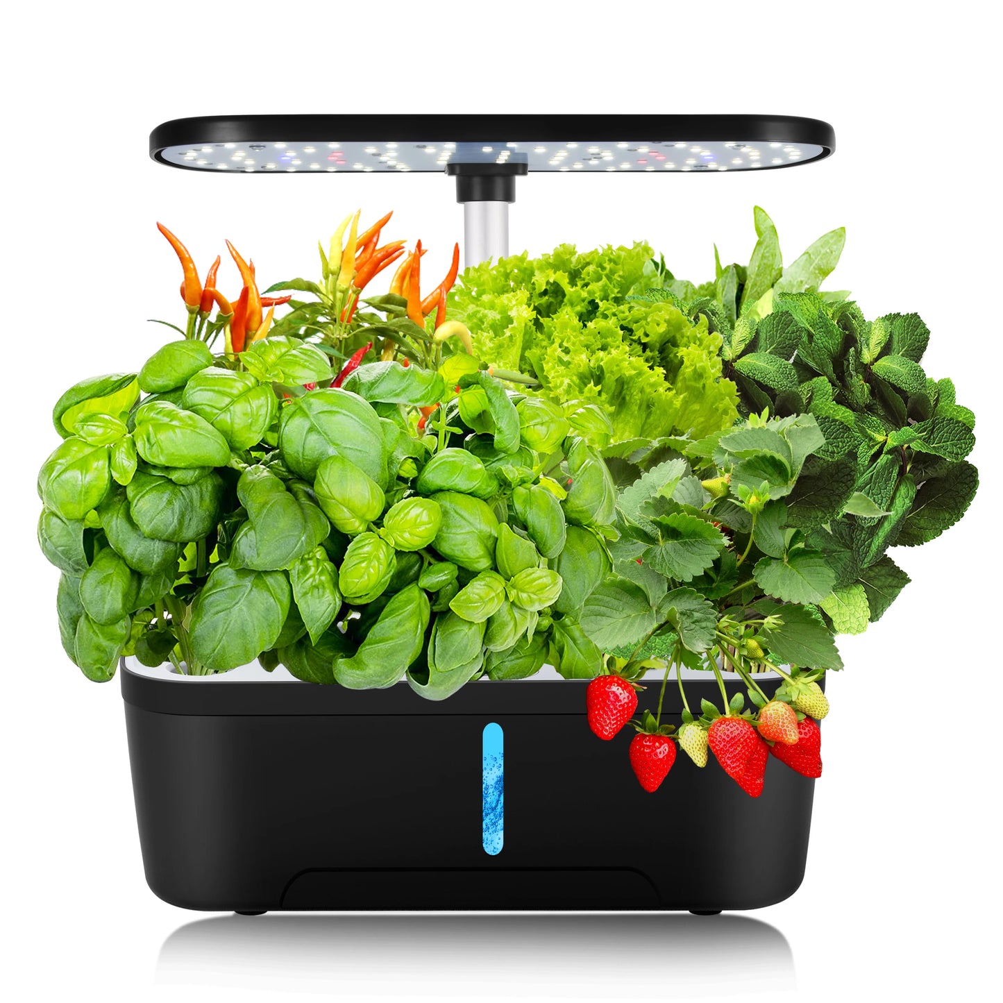 Smart Hydroponic Indoor Garden Kit | Grow Fresh Herbs & Veggies