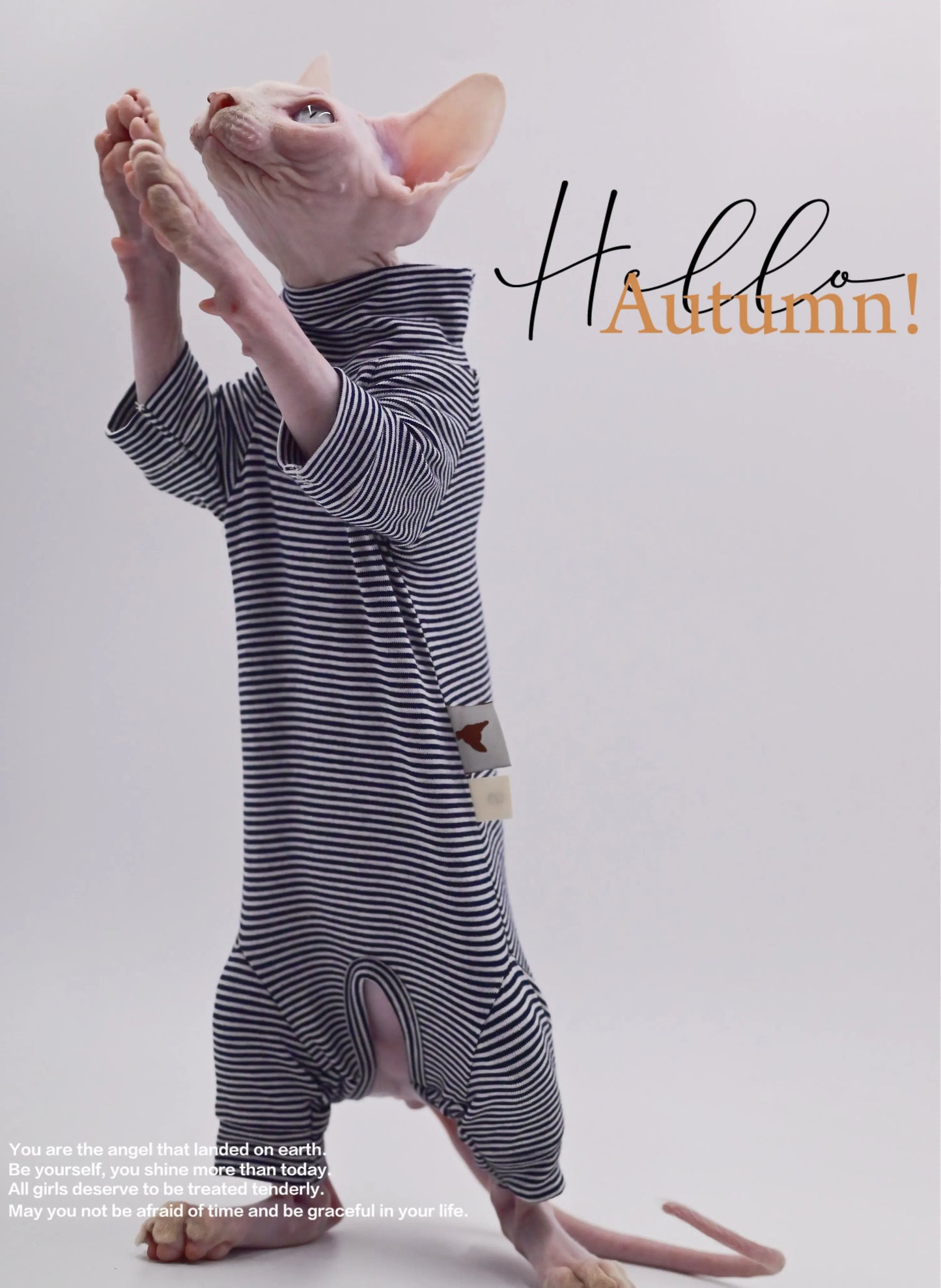 Comfortable Cotton Clothes for Sphynx and Hairless Cats