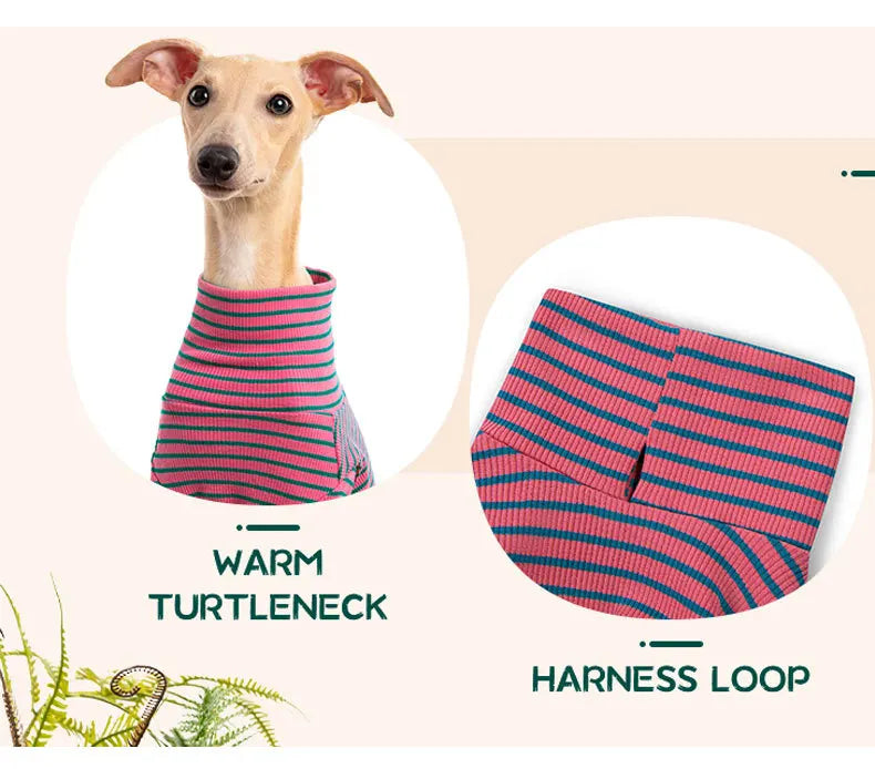 Four Legged Spring Pet Dog Jumpsuit | Comfortable Dog Apparel