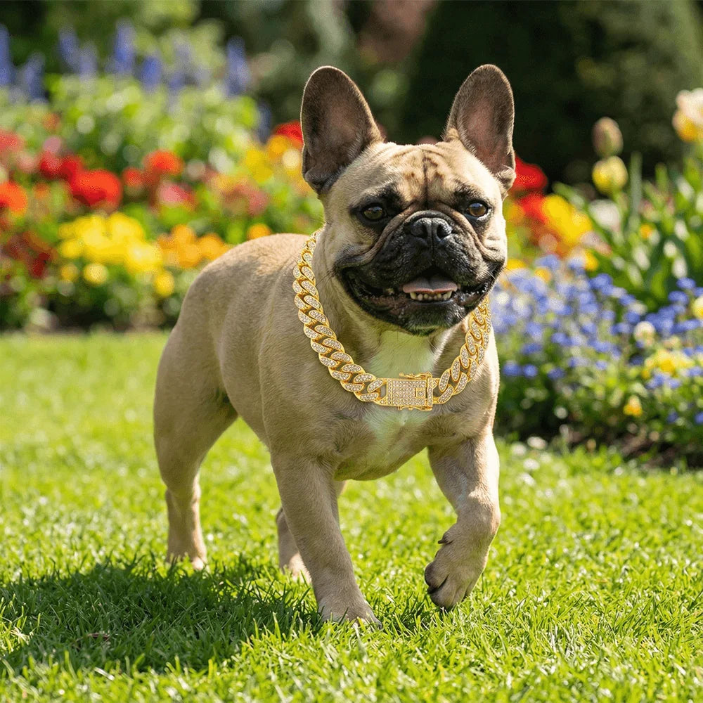 Luxury Hip Hop Dog Collar | Gold Tone Stainless Steel Pet Jewelry