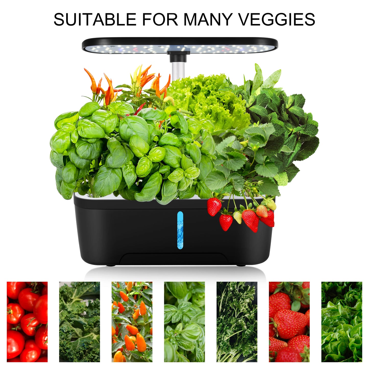 Smart Hydroponic Indoor Garden Kit | Grow Fresh Herbs & Veggies
