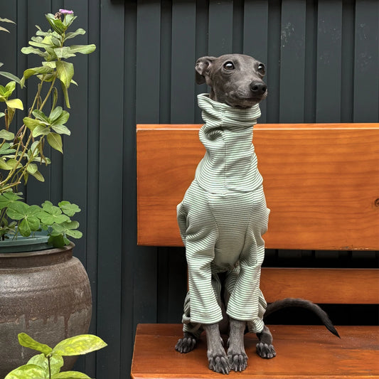 Stylish Striped Velvet Hoodie for Dogs | Warm & Comfortable Wear