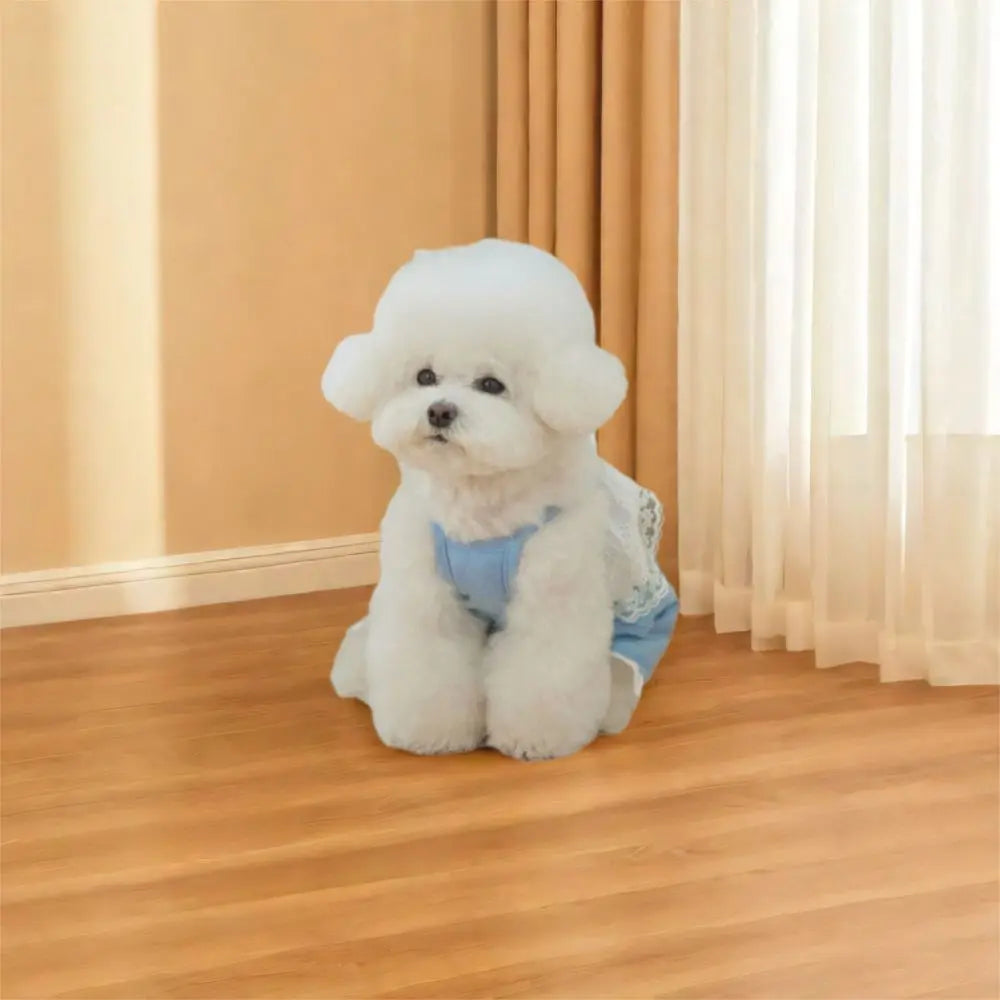 Breathable Soft Pet Lace Jumpsuit | Fashionable Dog Pajamas