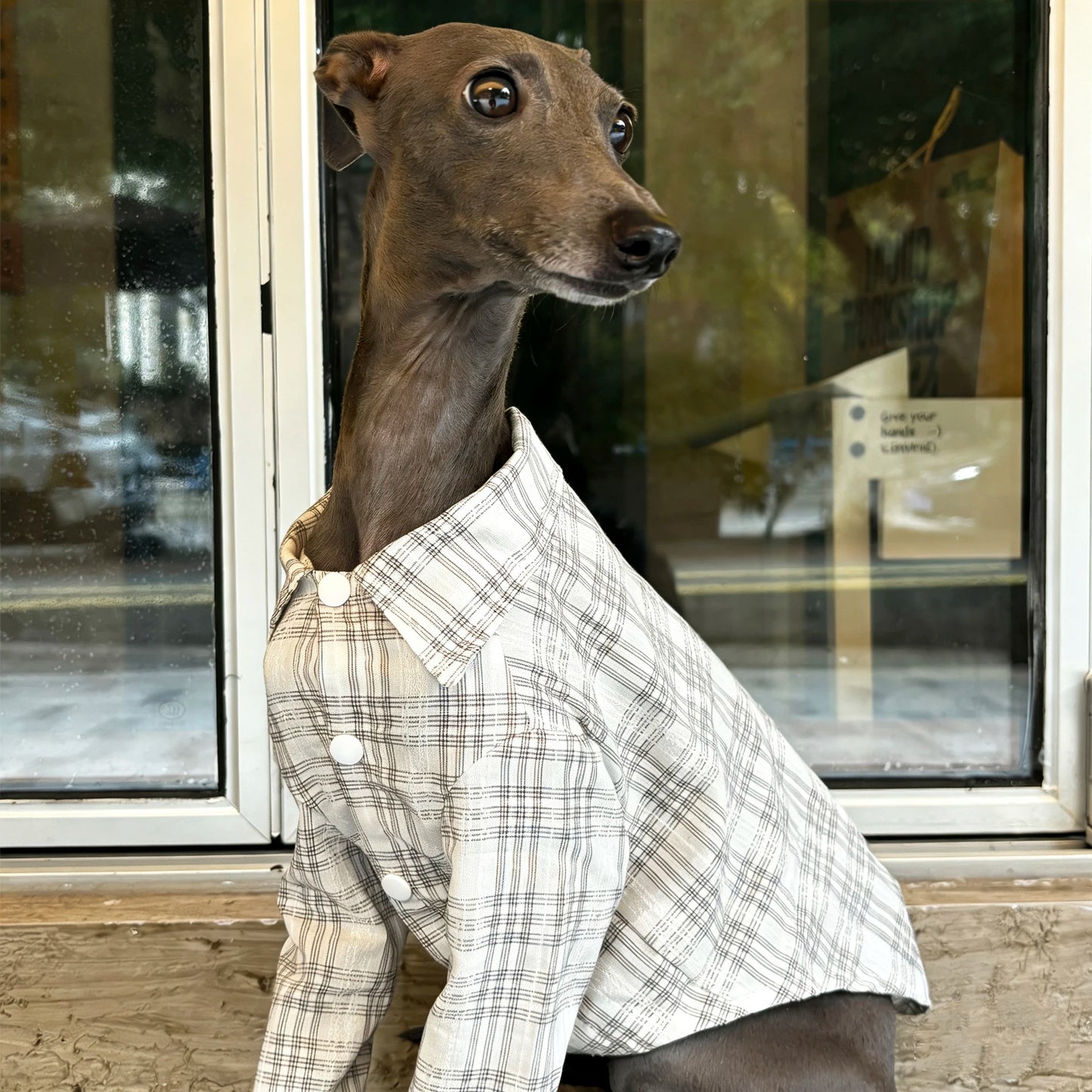 Camisa a Cuadros para Perros | Ropa para Mascotas Elegante y Cómoda