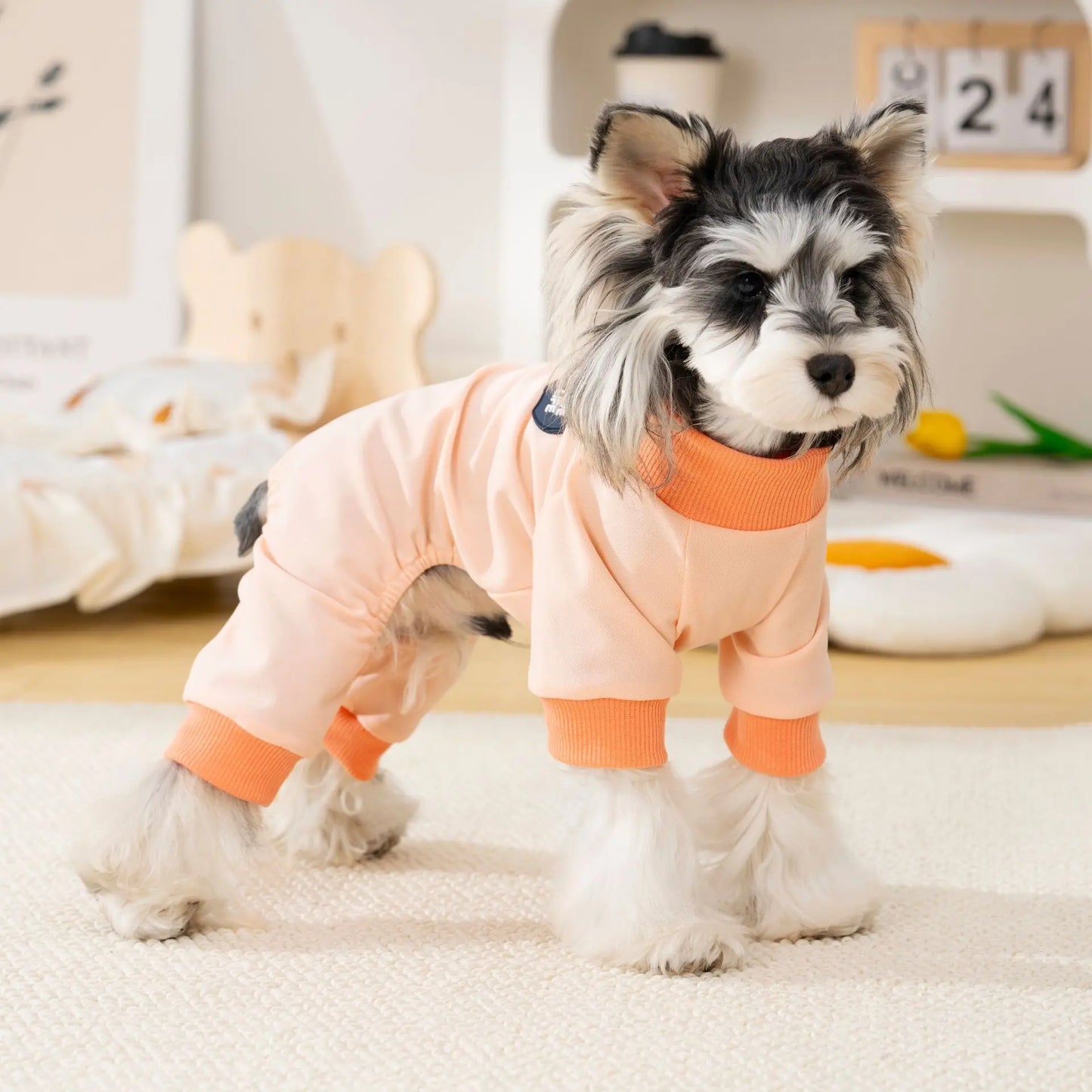 Pet clothing outdoor  dog four-legged outfit spring and summer new dog clothes cat spring and summer clothes for sun protection